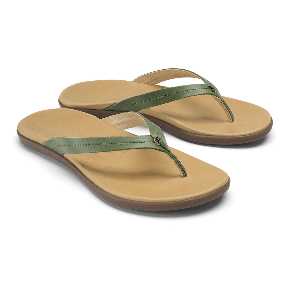 Honu  -  Green Olive / Golden Sand