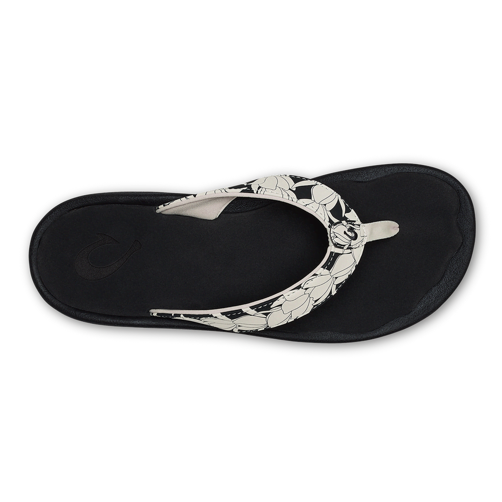 ‘Ohana - Lava Rock / Pa‘i