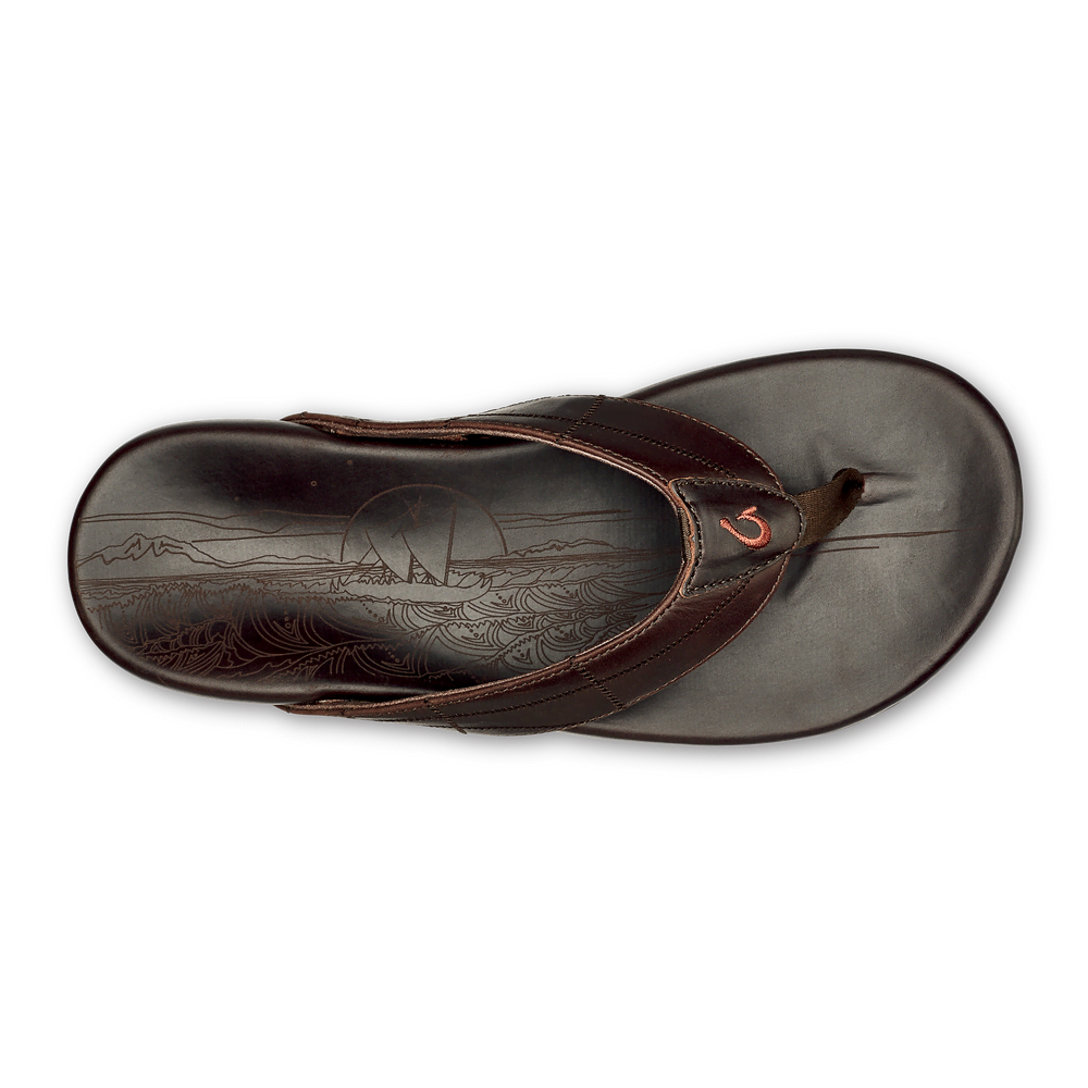 Hōkūle‘a Kia - Dark Wood