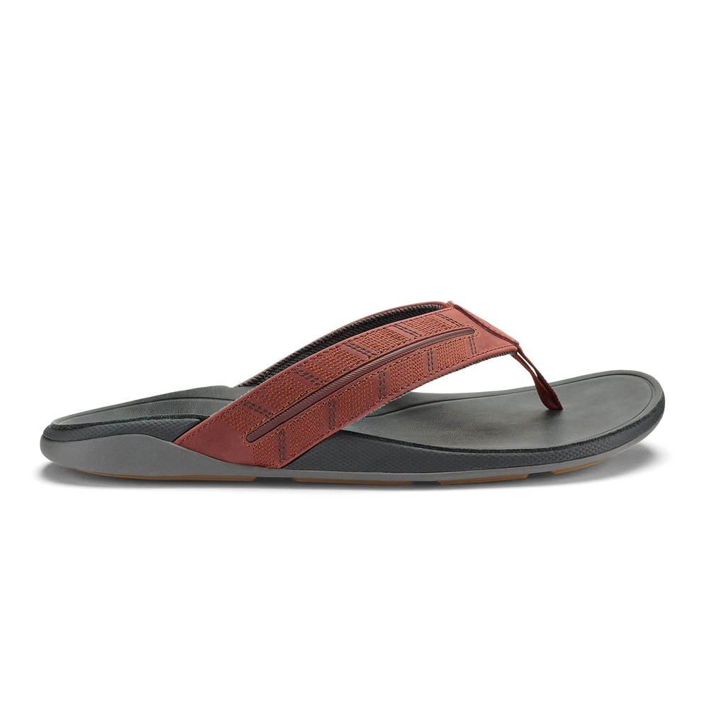 Tuahine Palm  -  Canoe / Rock