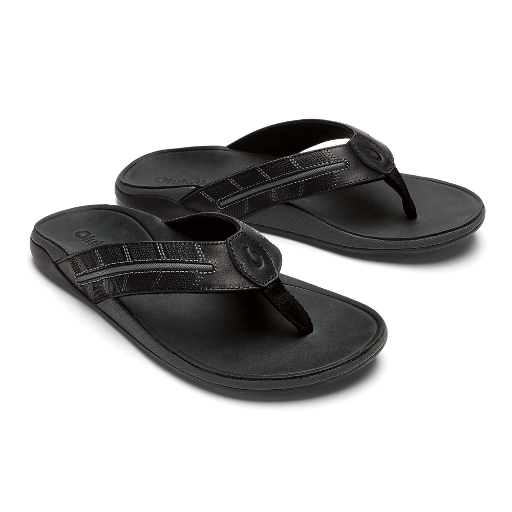 Tuahine Palm  -  Lava Rock / Dk Shadow